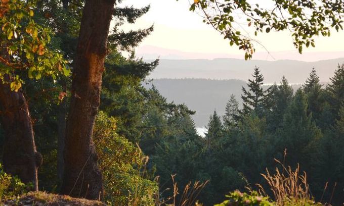 Salt Spring Island Bed & Breakfast | Sunrise Isles Luxury B&B Suite 1