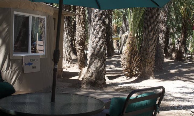 San Ignacio Other | Ignacio Springs Bed & Breakfast, Roberto's Reef Yurt
