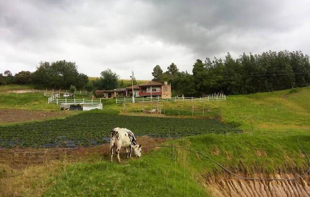 Oicata Cabin | FINCA PARA DESCANSO EN OICATA BOYACA