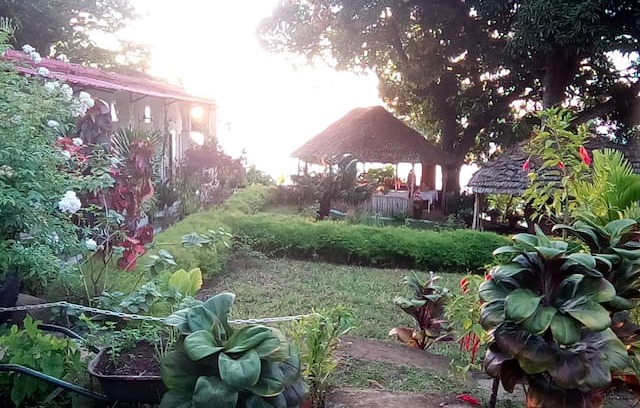 Anjouan Hotel | HOTEL LE SULTAN MOYA COMORES