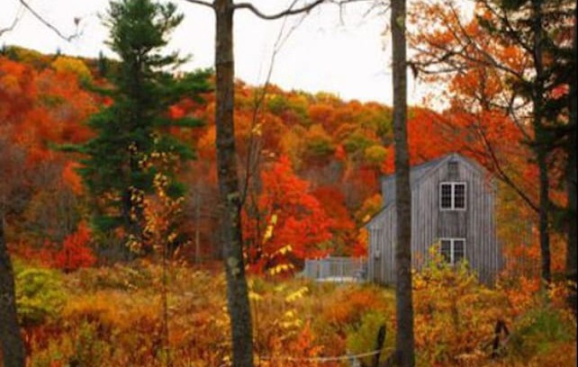 Harrisville Cabin | The Carriage House at Cobb Hill Estate