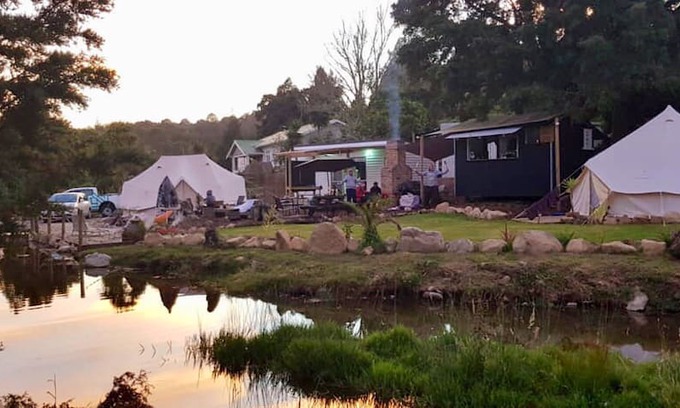 Whangarei Other | Kauri Creek Glamping