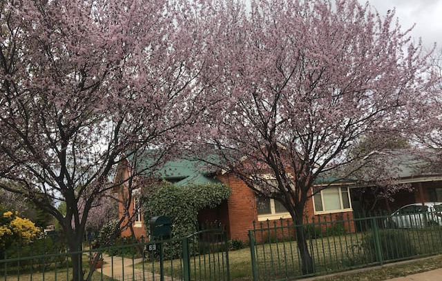 Narrandera House | Narrandera house