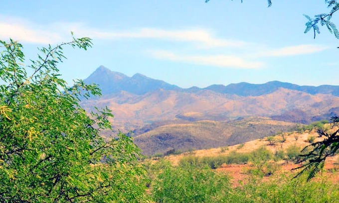 Rio Rico House | Tenagra - Photography, Desert Life, Bird Watching