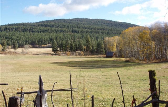 Thompson-Nicola Regional District Cabin | Solar powered Rustic Cabin.