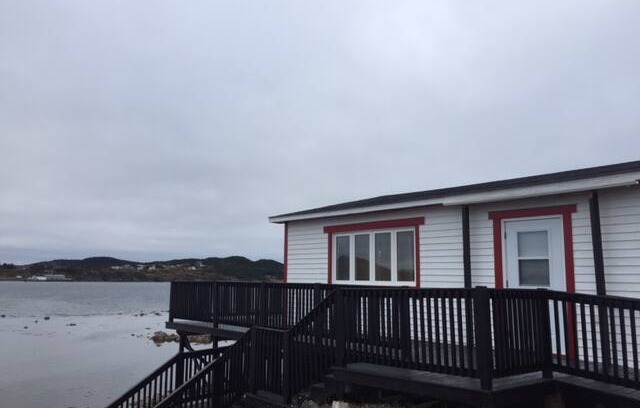 Twillingate Cabin | Gaze at the Sea