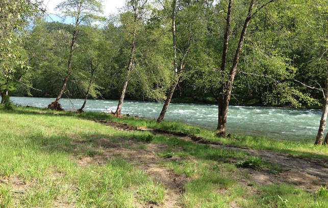 Lane County Cabin | River Song Cottage