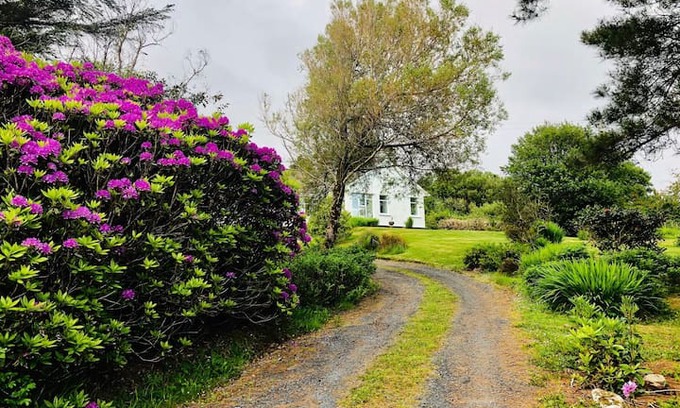 Mulranny House | Mulranny - Stunning sea view and garden