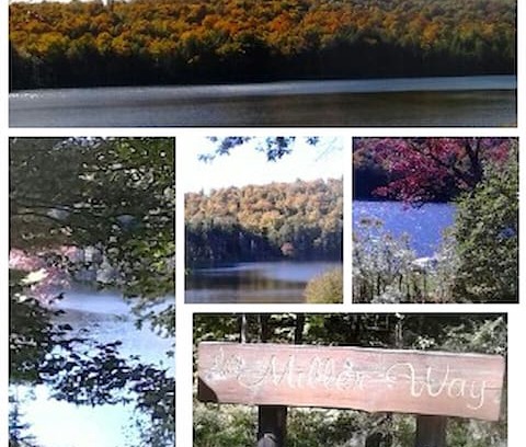 Fort Ann House | "On Thurber Pond"