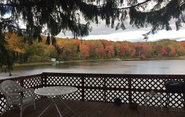 Long Eddy Cabin | Secluded Cabin on Stunning 25 acre Private Lake!