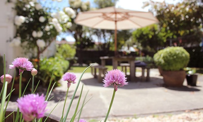 Napier House | Cabbage Tree Bungalow