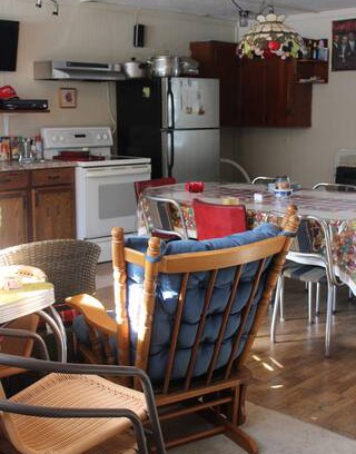 Renovo House | The Man Cave