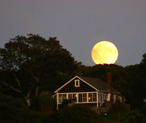Menemsha House | Evelyn's House, Martha's Vineyard Classic