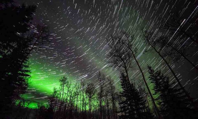 Fairbanks Apartment | Arctic Rose Airbnb ~ Home Away From Home~