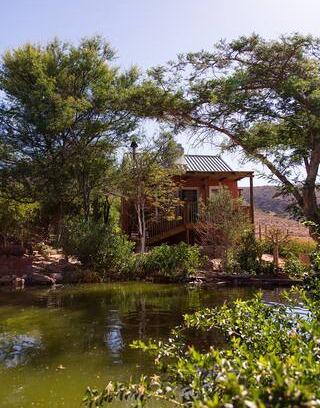 Koringberg Cabin | Heavenly Garden Cottage in the Trees