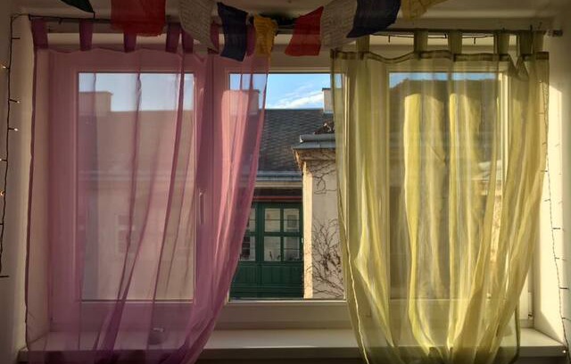 Schottenfeld House | Tibet Guest House 2