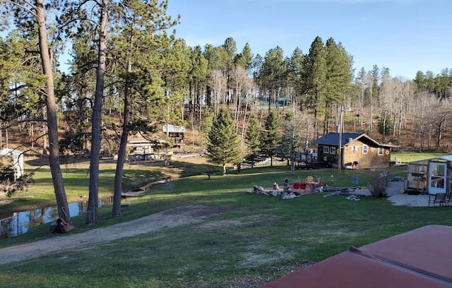 Rapid City House | The Love Shack next to stream in the Black Hills