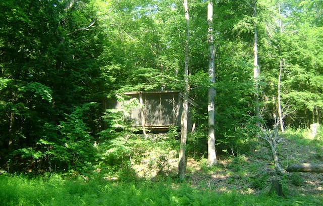 Catskill Cabin | Rustic Cabin on the Poetic Creek