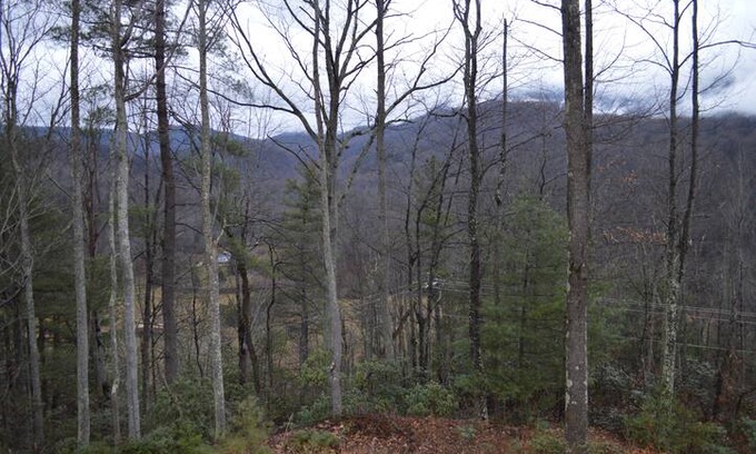 Tyro Cabin | Tyro Mountain View Cabin