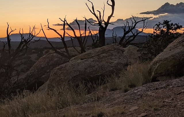 Catron County House | Turtle Rock Lodge, Datil, NM.