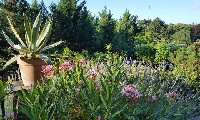 Heiligenstadt Apartment | Cosy, quiet, green for 2 * Grinzing * Vienna Woods