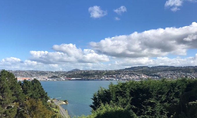 Dunedin House | Harbour view family home, Vauxhall