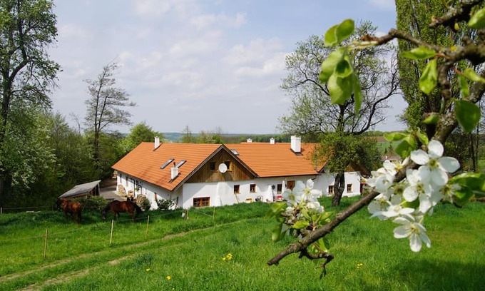 Kirchstetten Villa | Chalet "FEINIS" im Vierkanthof - klein aber fein!