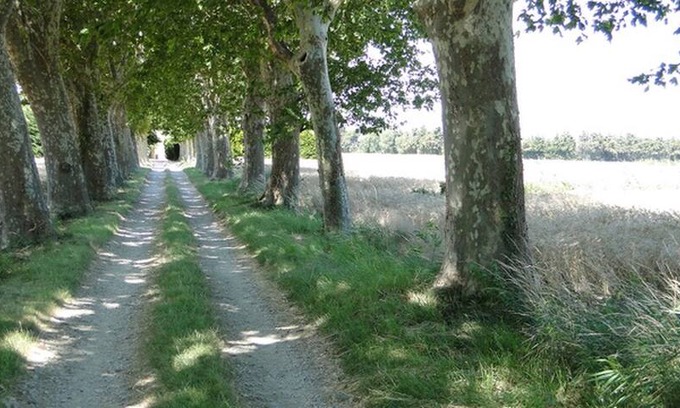 Valreas House | DEMEURE PROVENÇALE "Ferme de la Pareille"