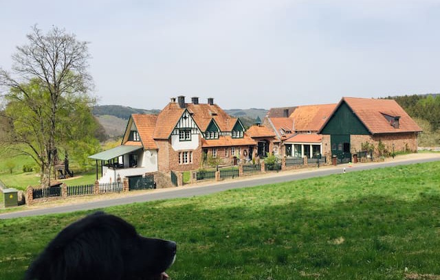 Muerlenbach House | Vulkaneifel -Hof Grindelborn Wohnung Wildblick