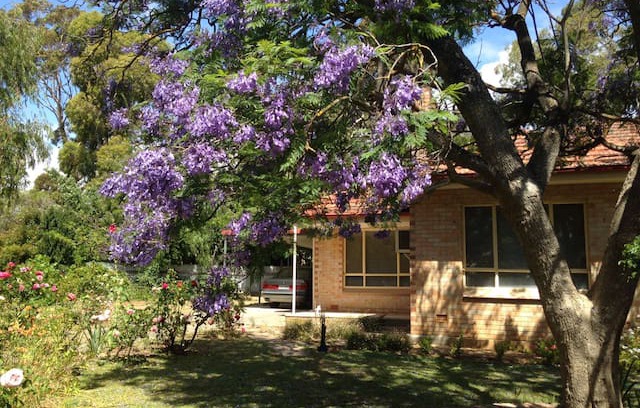Willunga House | Jacaranda Cottage, Willunga