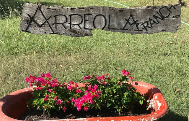 Center Point Other | TheVenues at Rancho Arreola
