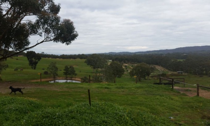 Kersbrook Apartment | Gumhaven