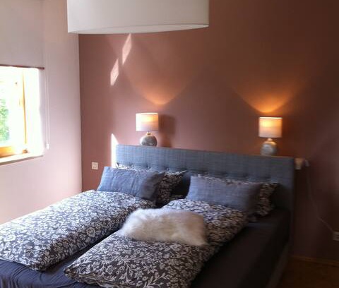 Aschach Apartment | Fewo extraschön - Wiesental