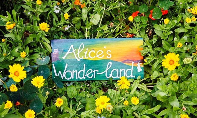 Lamlash House | Alice's Wonderland Vegetarian BnB