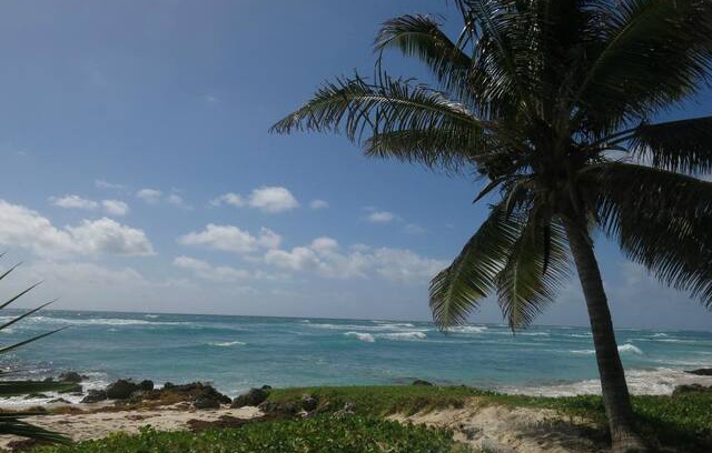 Inch Marlowe House | Gemini House Barbados Bed & Breakfast