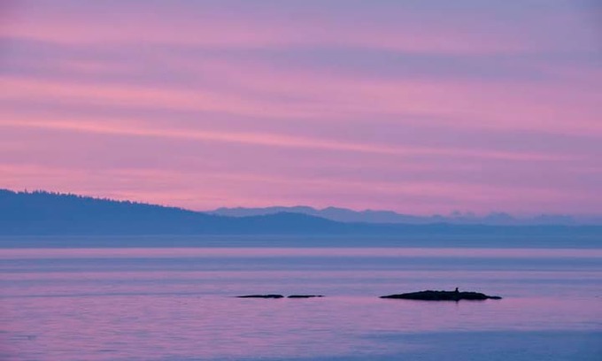 Cordova Bay House | Cordova Bay Beach Suite, Oceanfront
