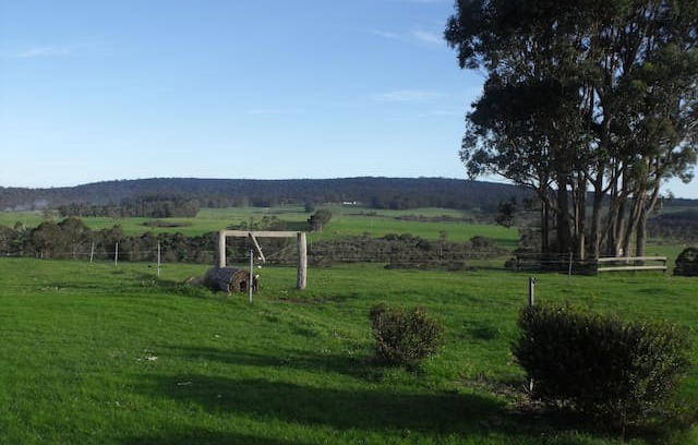 Tingledale Bed & Breakfast | Valley of the Giants B and B