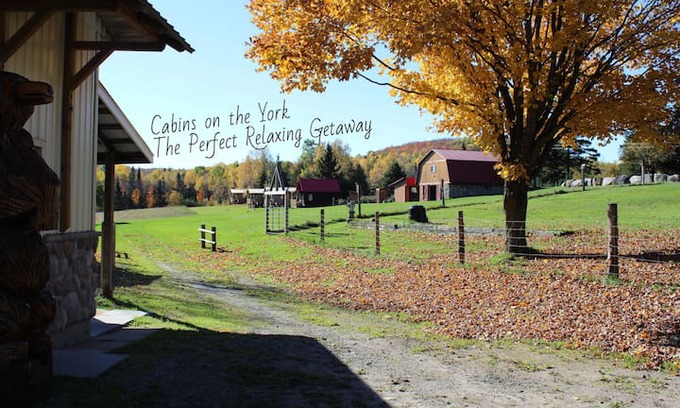 Hastings Highlands Cabin | Cabins on the York - Wolf Cabin #4