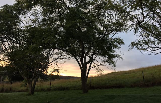 Macksville House | Ponytail Farmhouse - perfect place to unwind