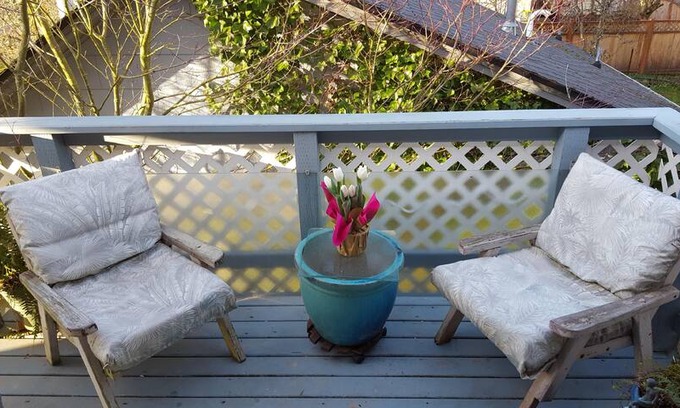 Sunnyland Apartment | Treetop Guesthouse