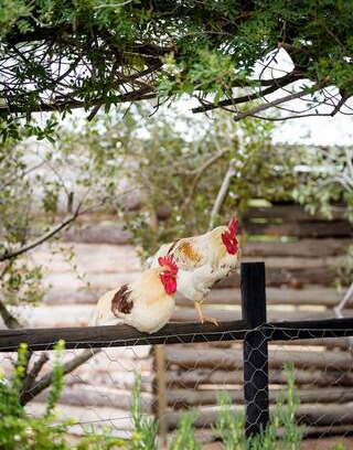 Citrusdal Villa | Citrus Creek, your entrance to the Cederberg.