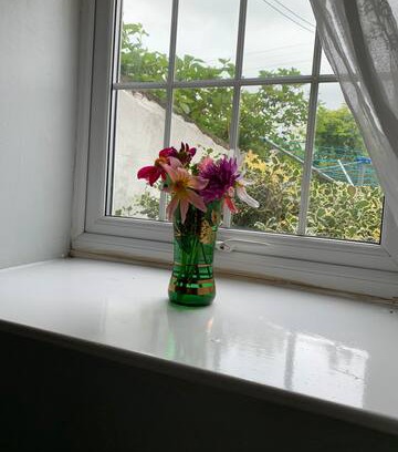 Hayton Cabin | The Annex @ Hayton Hayton , Aspatria