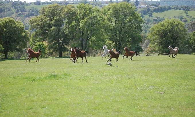 Newcastle Other | Crater Hill Ranch Shack