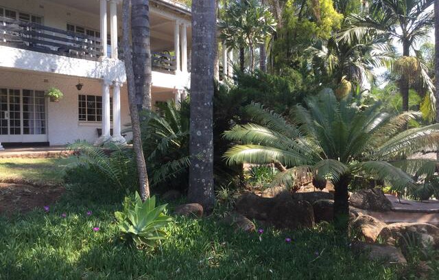 Harare East Bed & Breakfast | A Room in Paradise