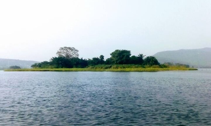 North Tongu Other | Atakwame River Island Jungle Club