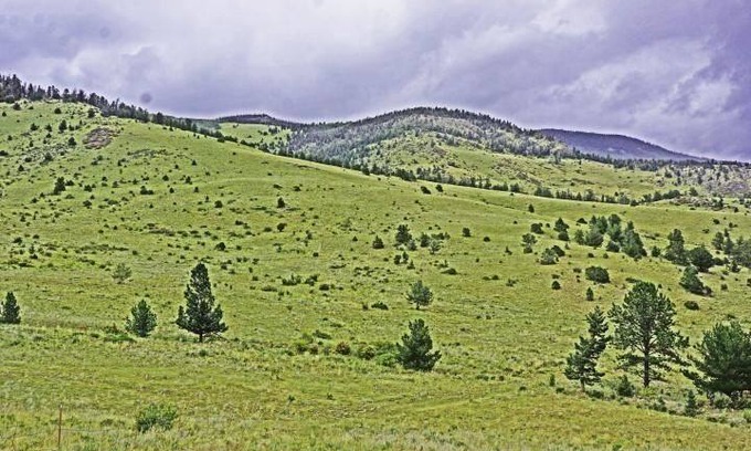 Saguache County Cabin | Bull Elk Lodge