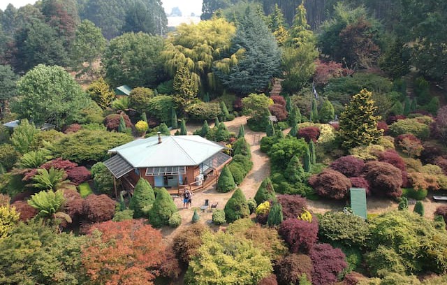 Lower Wilmot Cabin | Don Dossers Magnificent Garden Stay