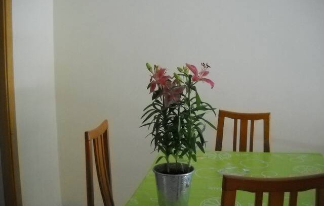 Blanes Apartment | AP Costas - SES ILLES / Two Bedrooms