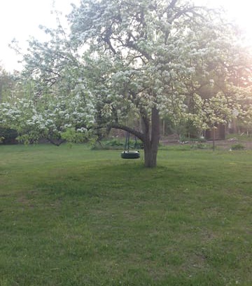 Douglas Cabin | Pear blossom cabin