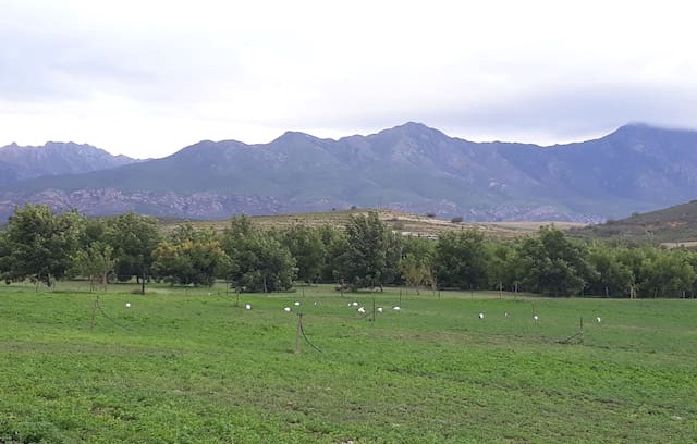 Boesmanspad Other | Pecan Nut Farm Stay